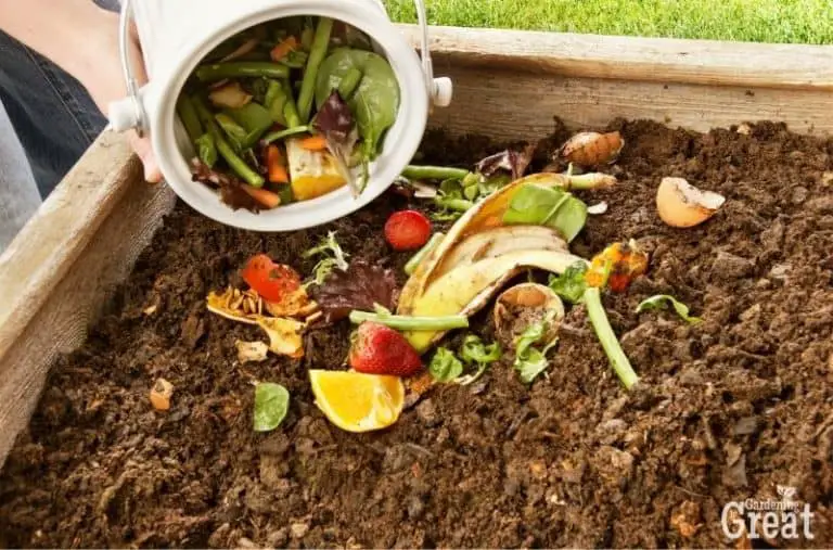 Things Your Compost Pile Needs from You