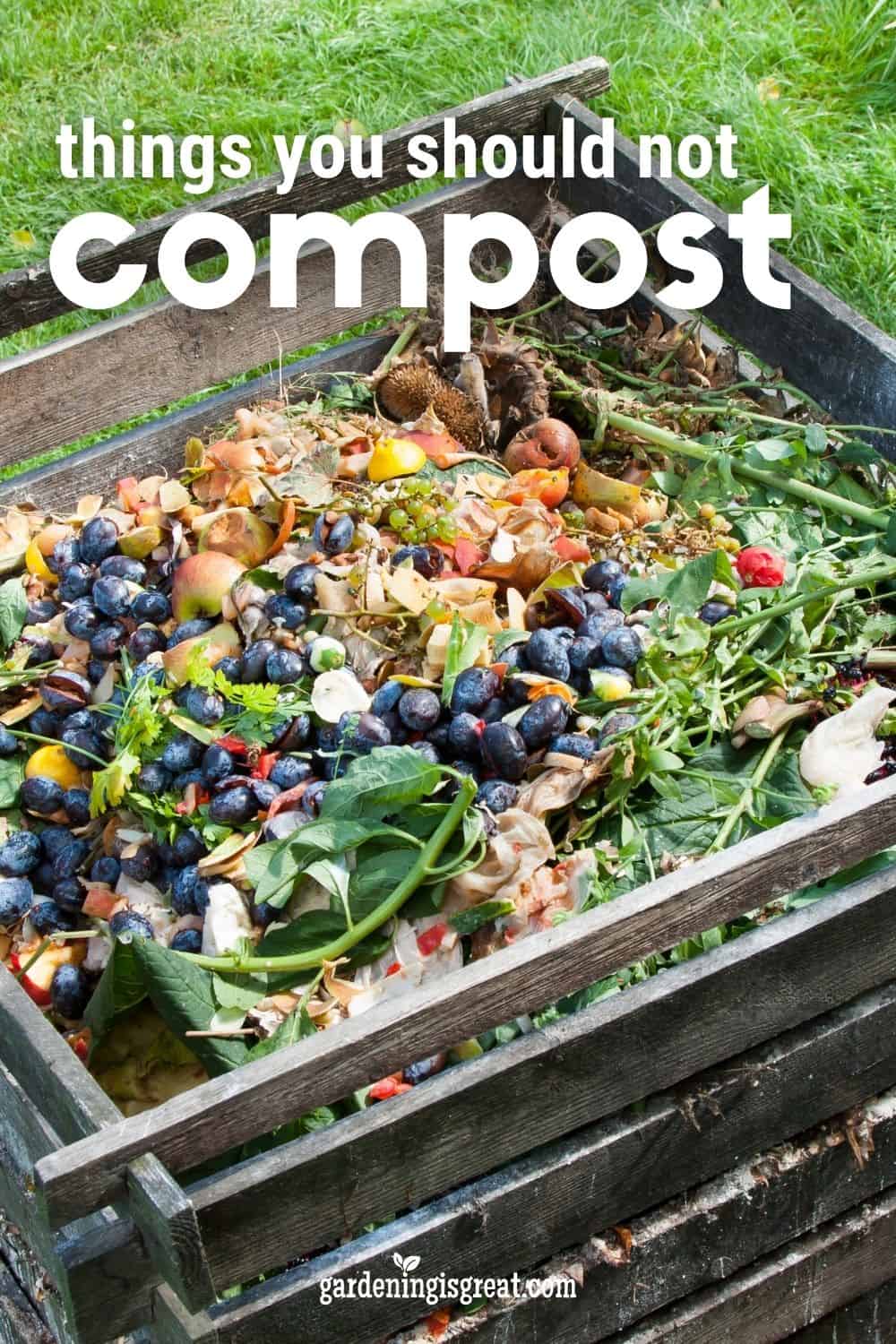 learn what should not be composted pin.