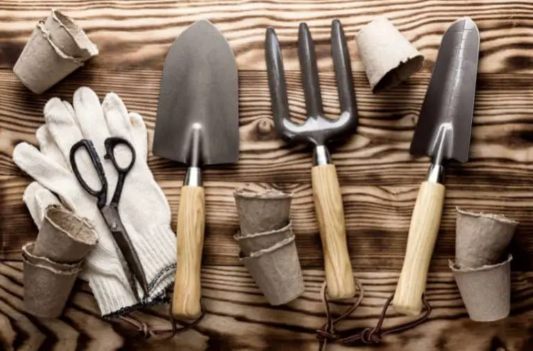 6 Basic Tools for Gardening That Every Beginner Gardener Needs