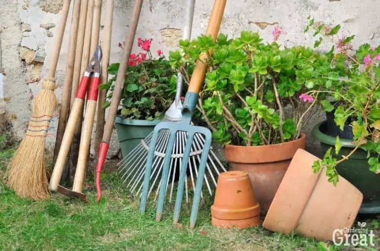 5 Essential Garden Maintenance Tips to Maintain a Beautiful Garden