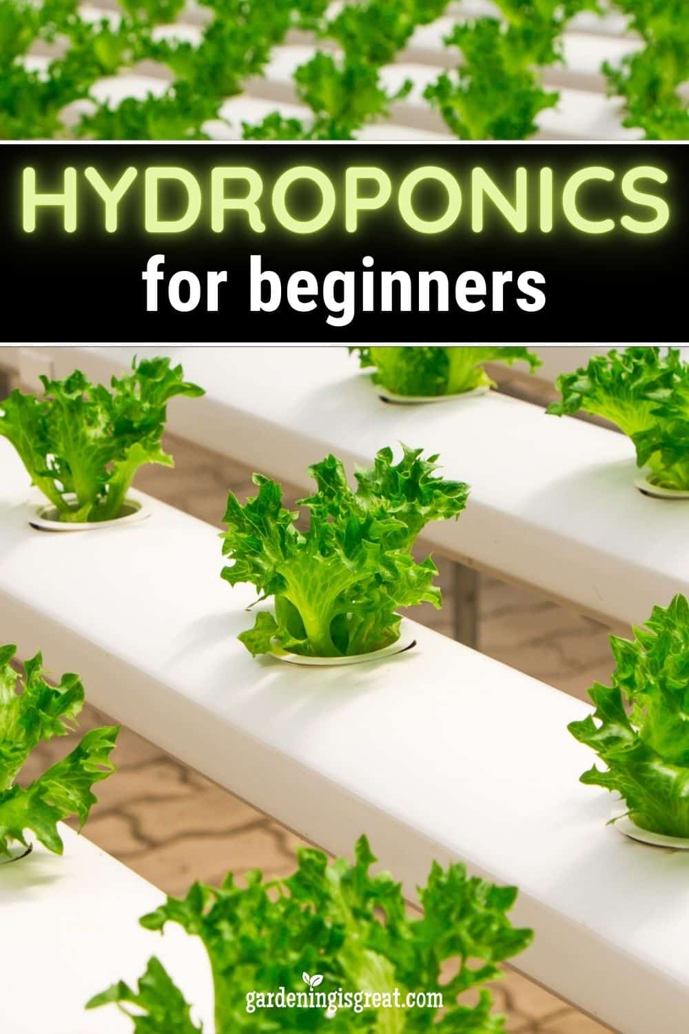 A Guide To Hydroponics For Beginners Gardening Is Great