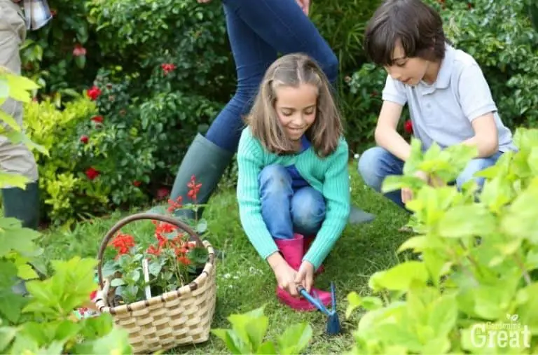 How to Create a Garden for Children to Play and Learn in