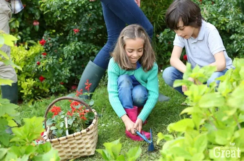 gardening with children to stay active