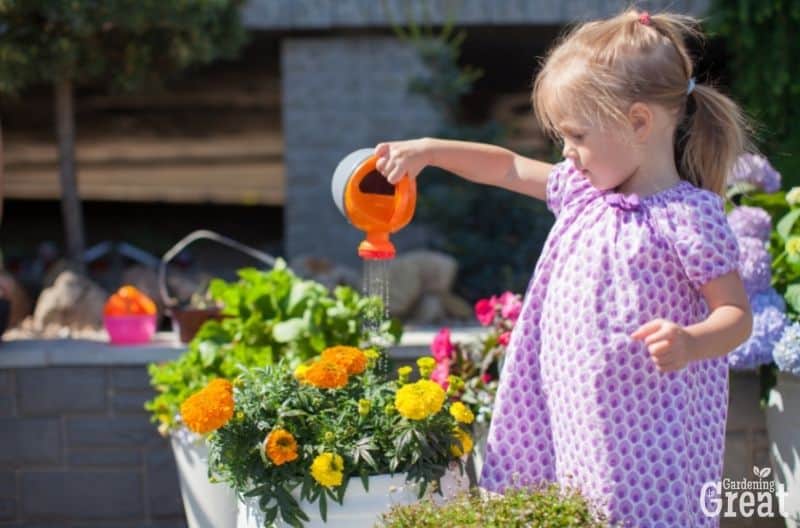 secrets to success when gardening with kids