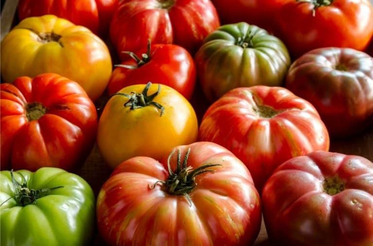 15 of The Best Heirloom Tomatoes to Grow in Containers