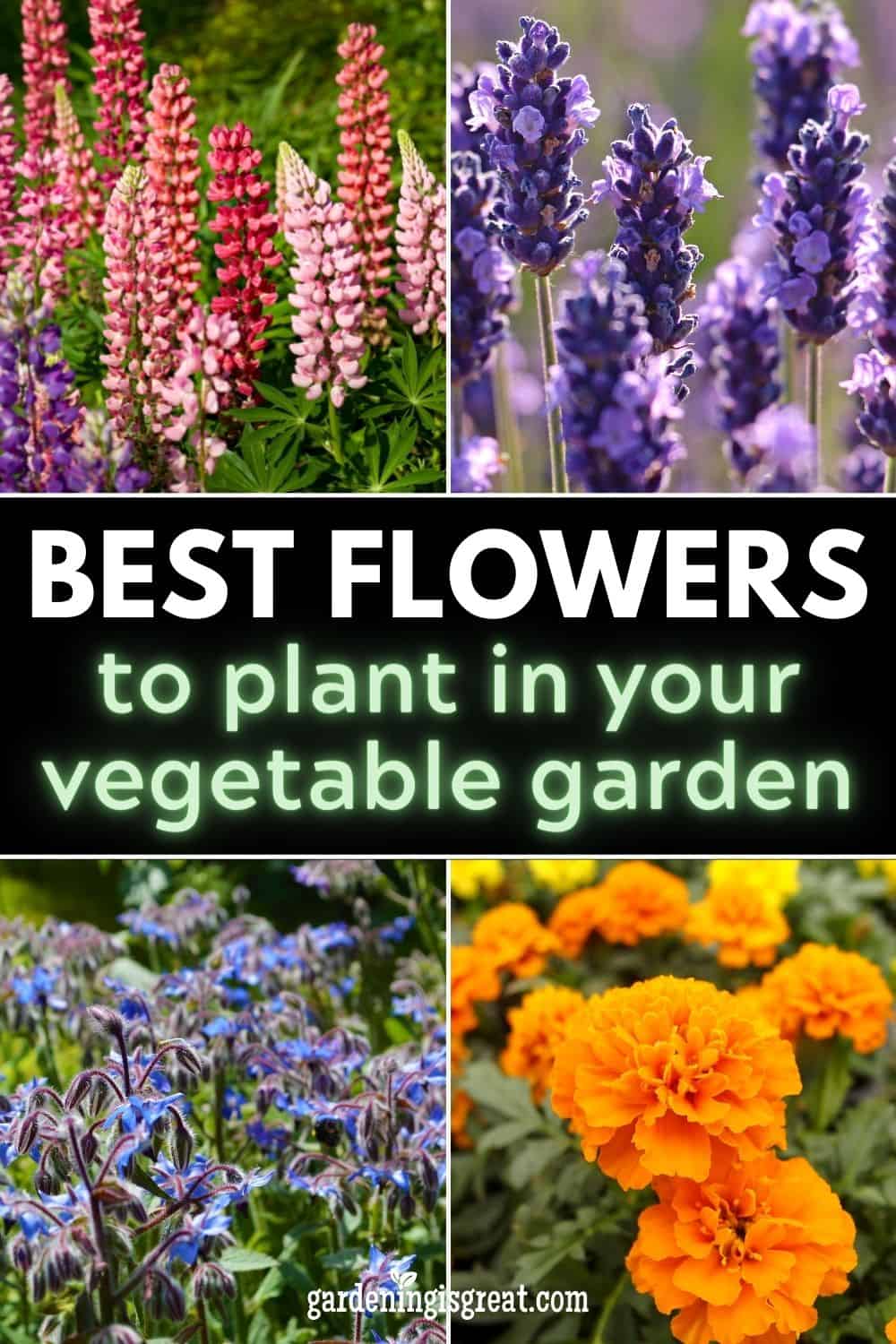 Bedste blomster at plante rundt i din køkkenhave