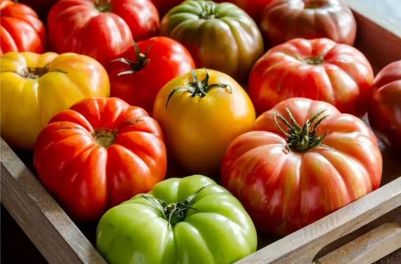 best heirloom tomatoes