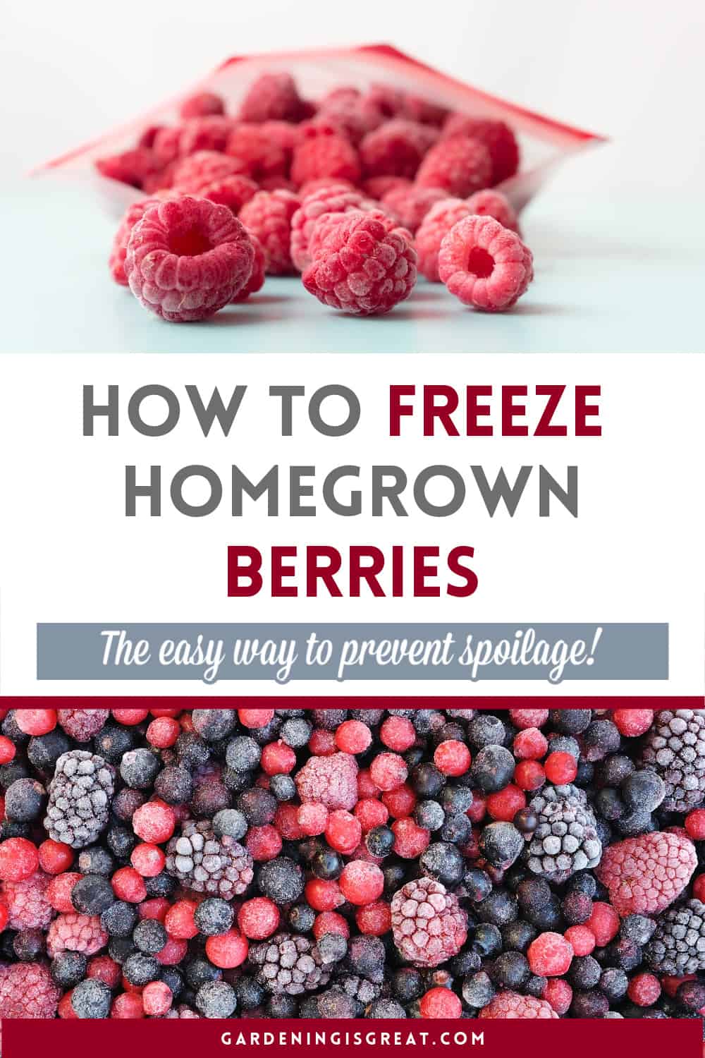 freeze homegrown berries