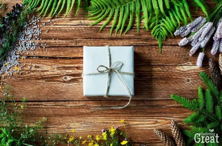 20 Best Gifts for the Gardeners in Your Life