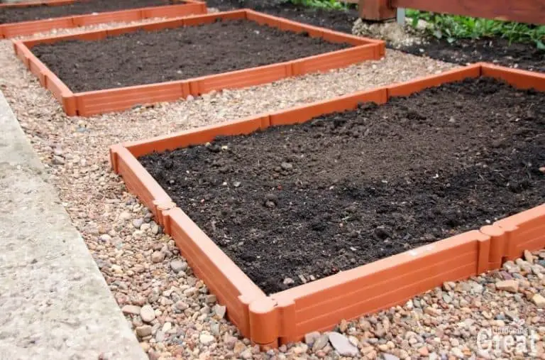 Are Plastic Raised Beds Toxic? The Truth!