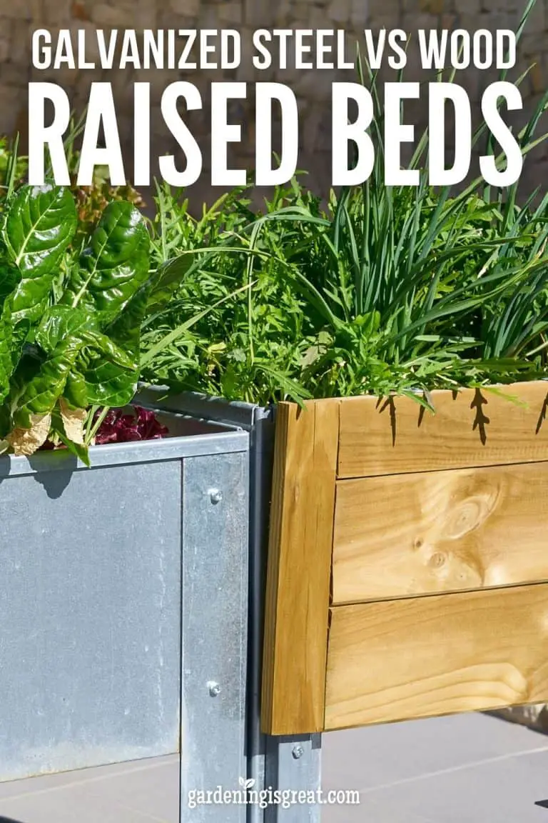 Galvanized Steel Vs Wood Garden Beds: Which is Best ...