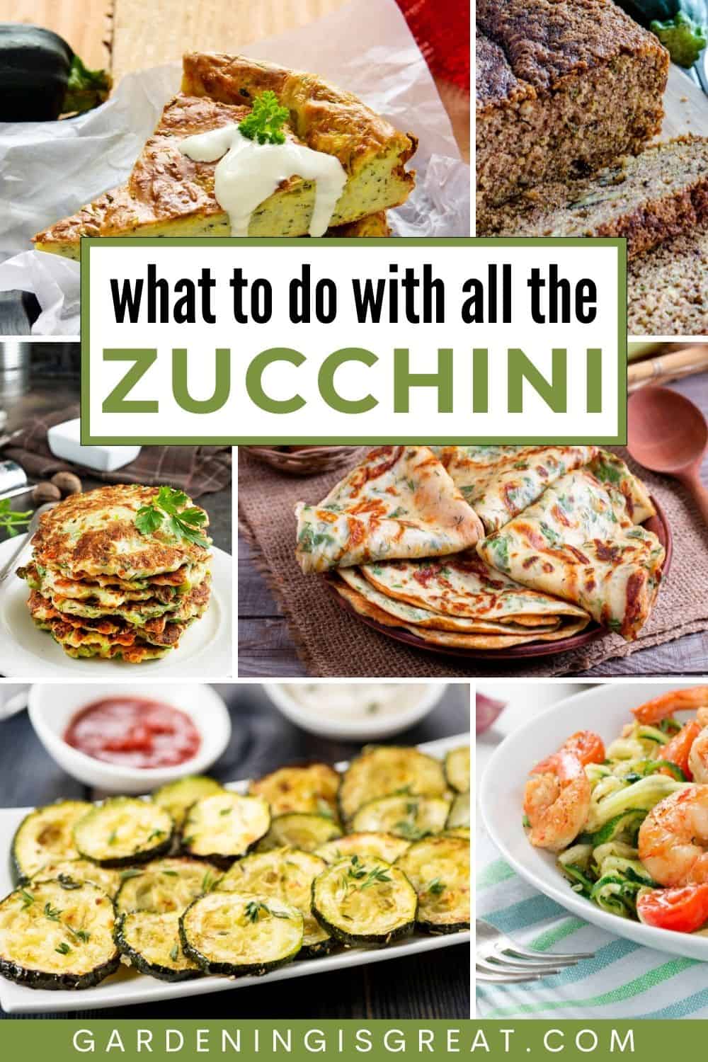 Zucchini Recipes For Your Summer Harvest | Gardening is Great