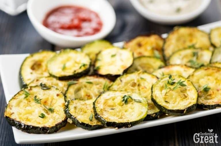 Zucchini Recipes For Your Summer Harvest