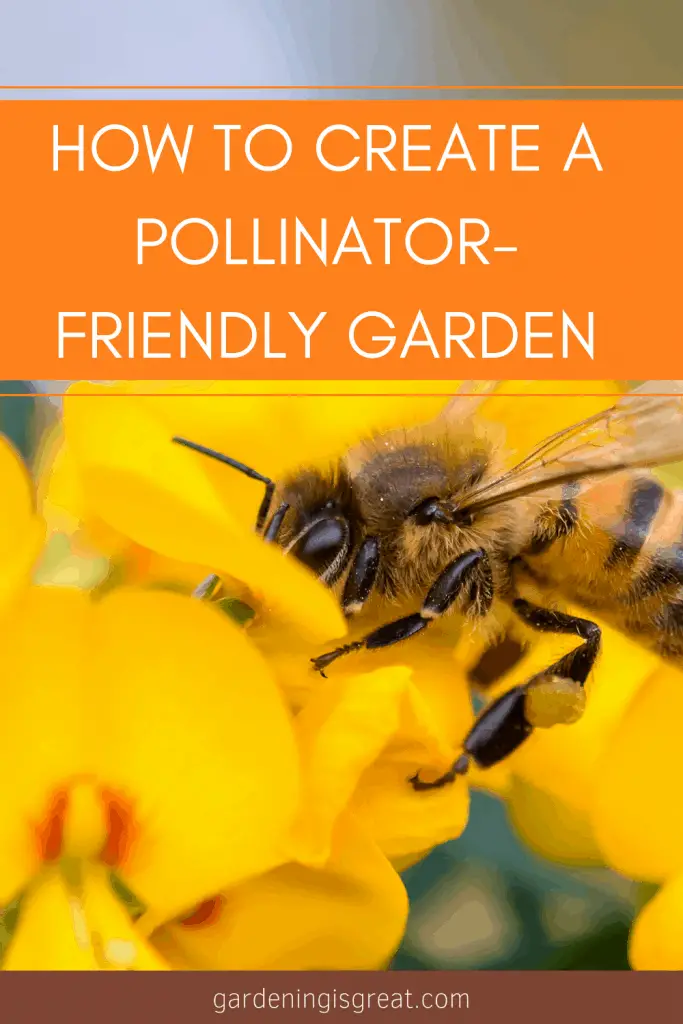 How to Create a Pollinator-Friendly Garden | Gardening is Great