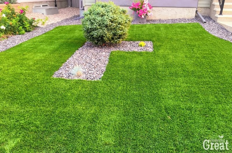 lawn growing tips