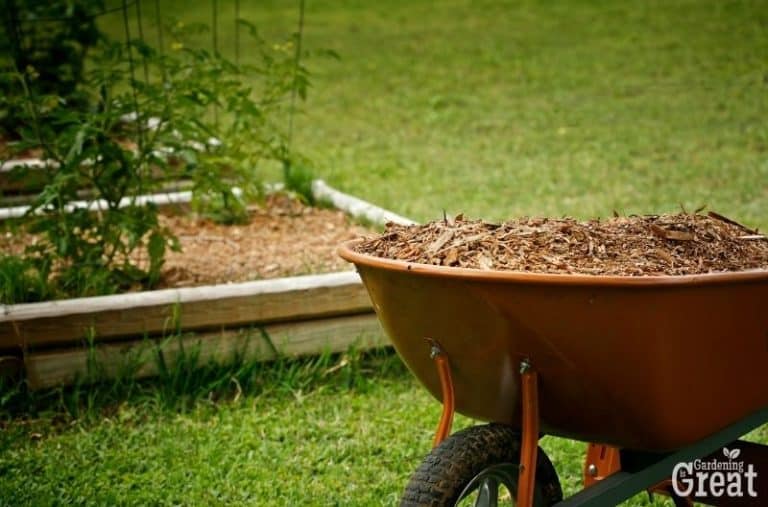 Best Mulches To Use In The Vegetable Garden