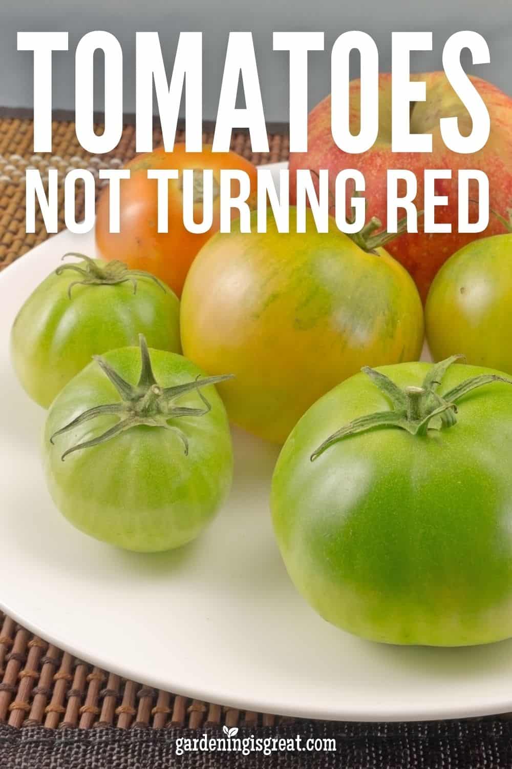 why youre tomatoes are not turning red