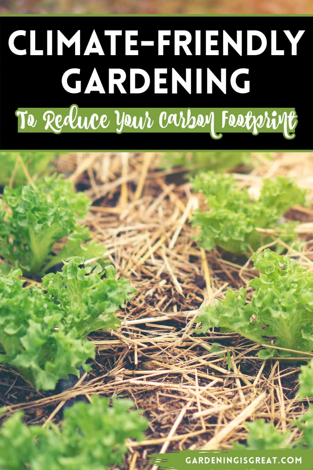 climate friendly gardening reduce carbon footprint