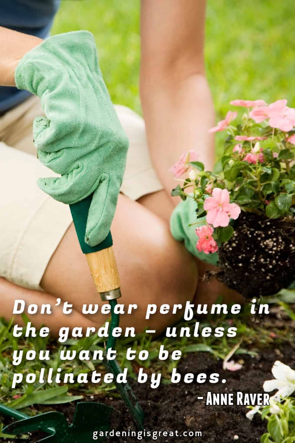 “Don’t wear perfume in the garden – unless you want to be pollinated by bees.” – Anne Raver