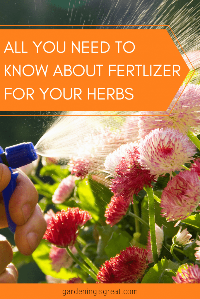 Fertilizer For Herbs All You Need To Know Gardening is Great