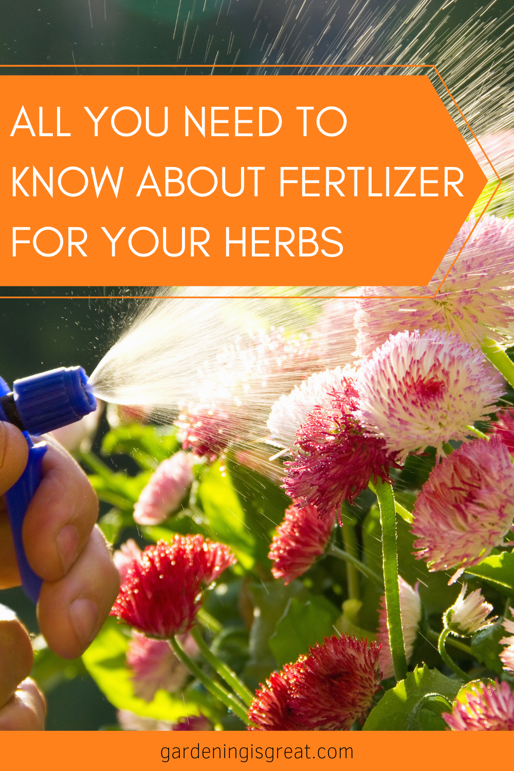 fertilizer for herbs.
