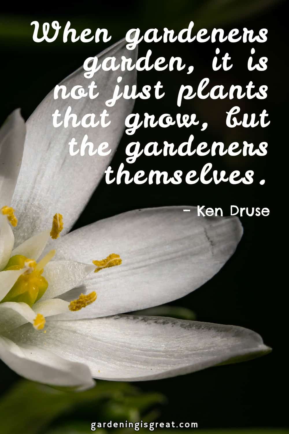 “When gardeners garden, it is not just plants that grow, but the gardeners themselves.” – Ken Druse