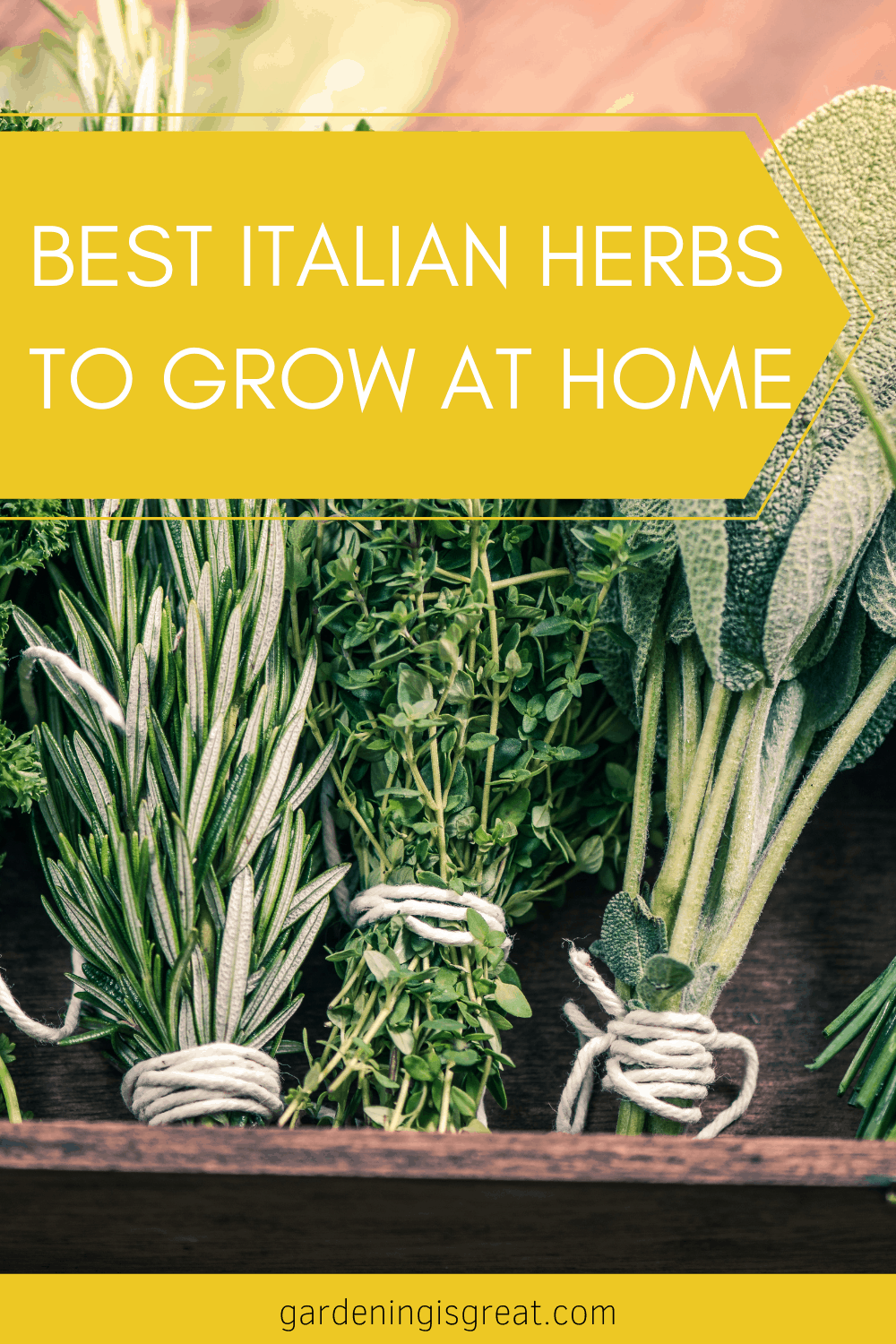 italian herb garden