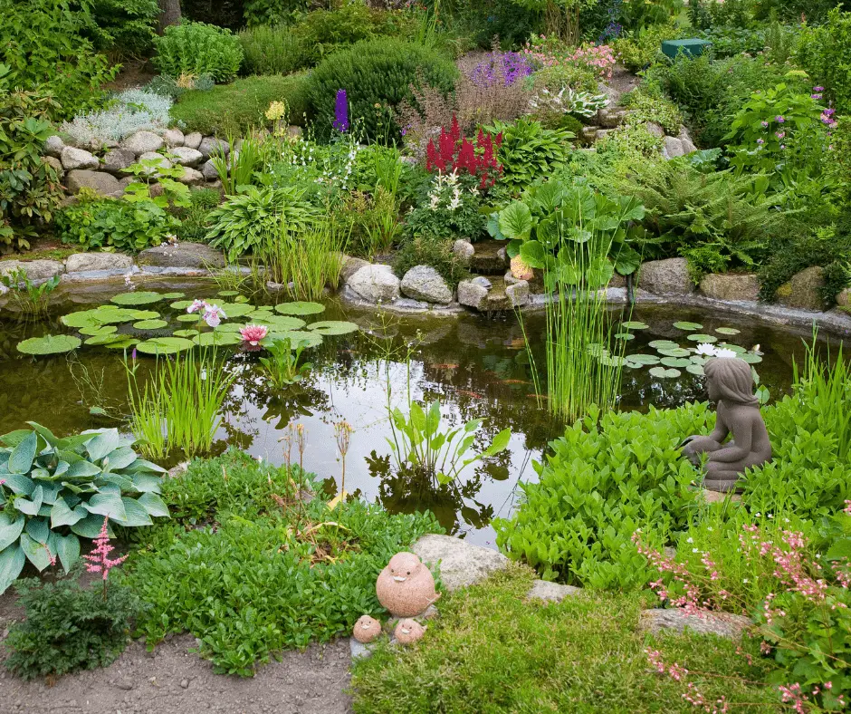 pond in your garden.