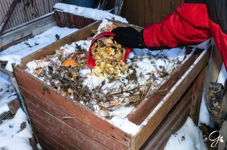 A Complete Guide To Composting In Winter