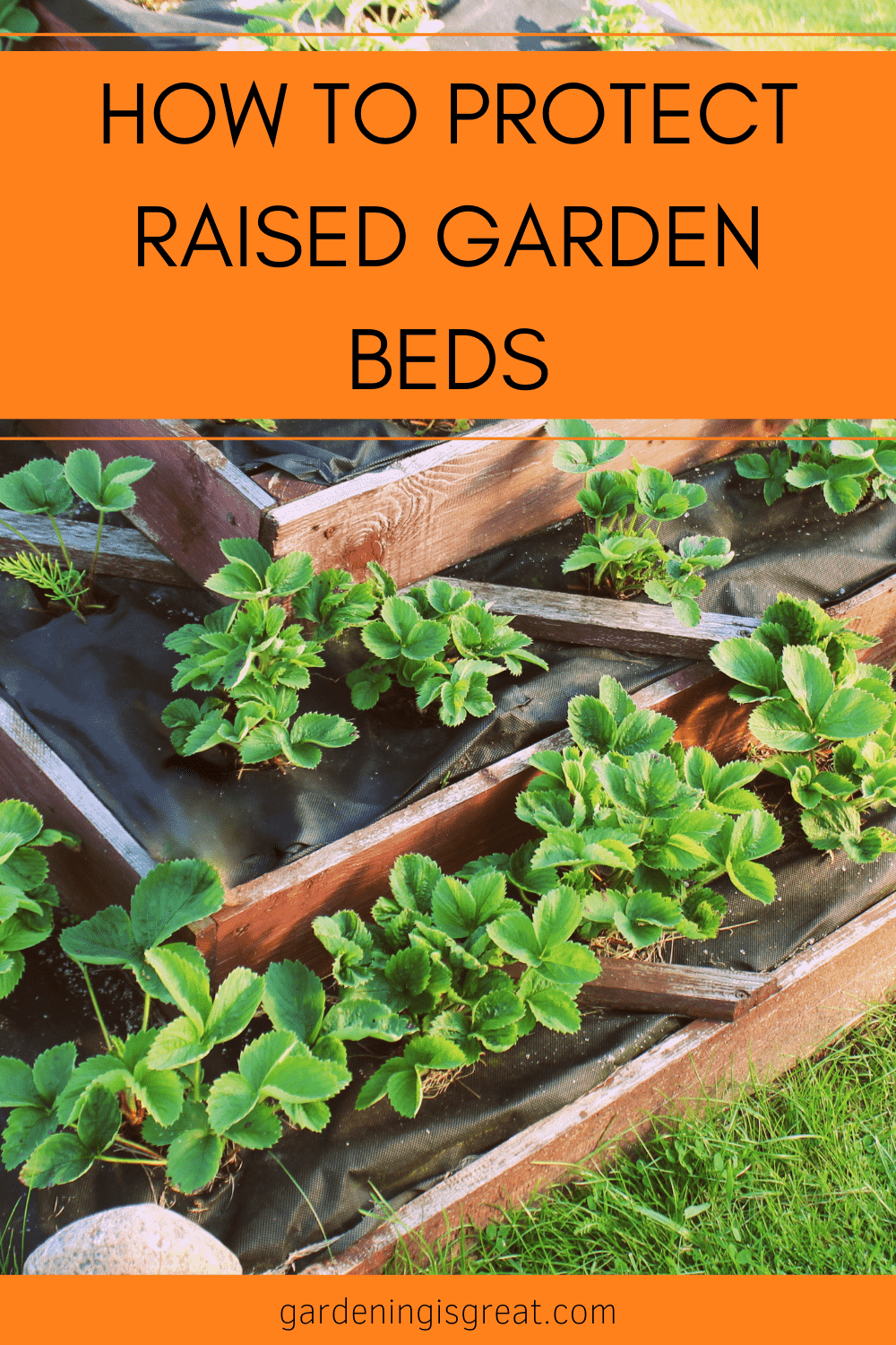 protect raised beds.