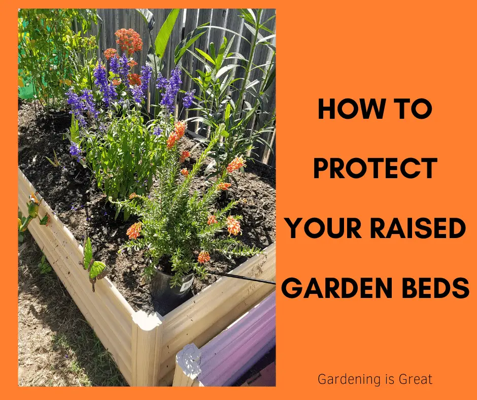 protect your raised beds.