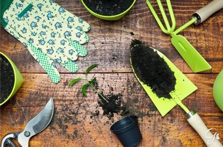 12 Top Tips To Prepare Your Garden For Spring