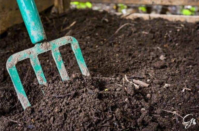How To Improve Your Garden Compost