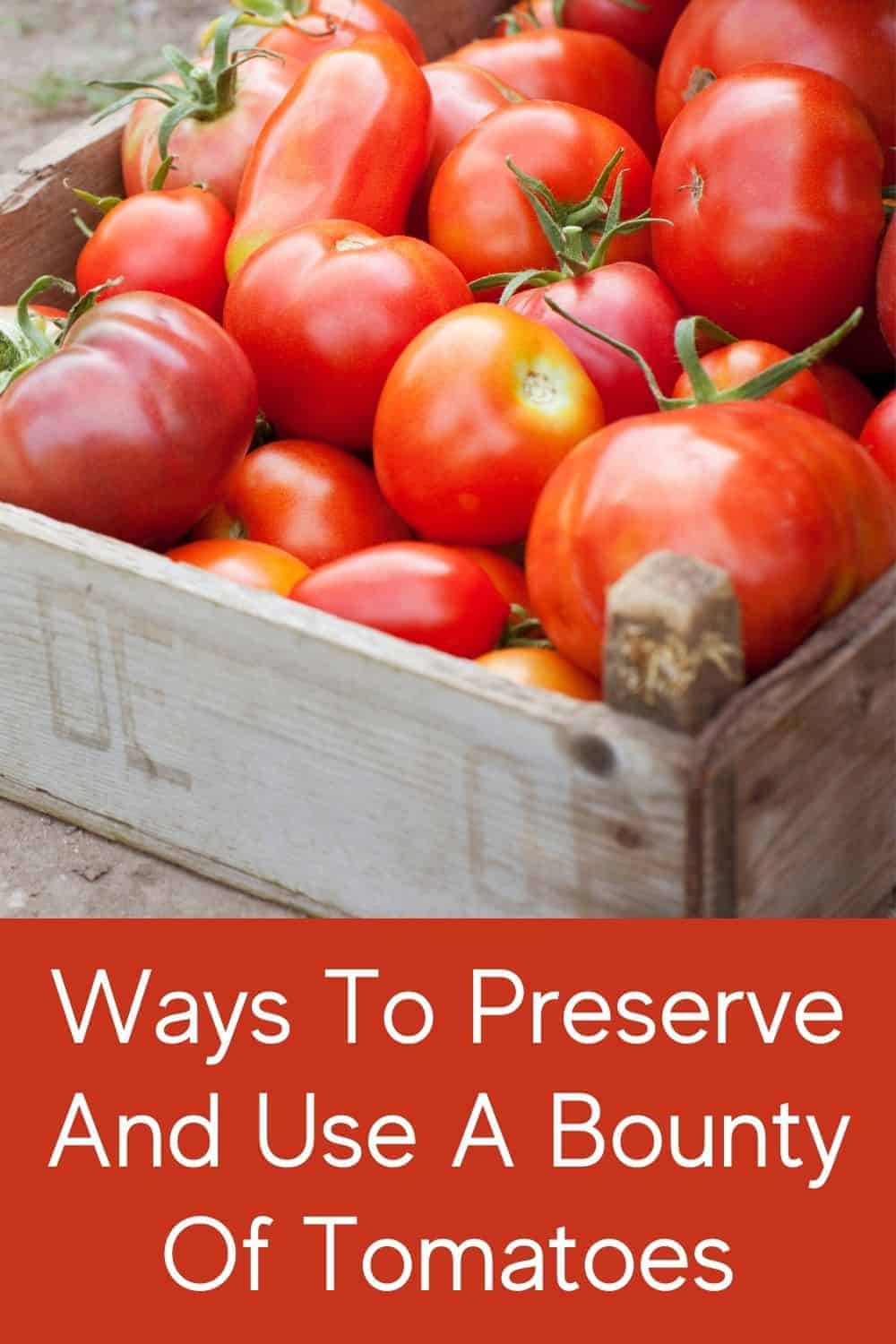 preserve and use tomatoes pin