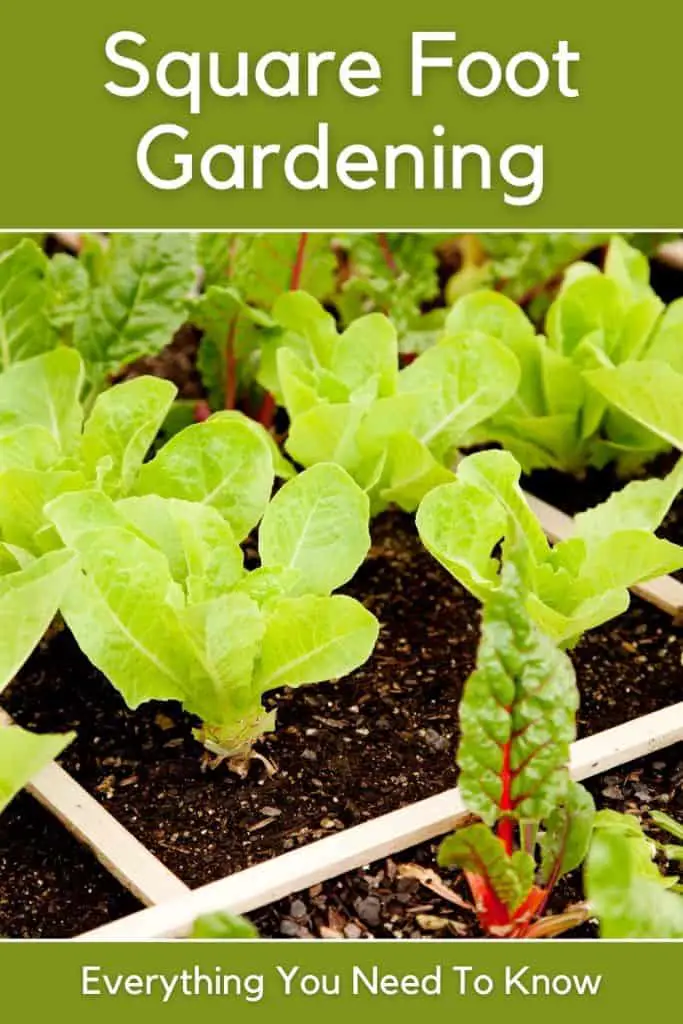 square foot gardening guide pin