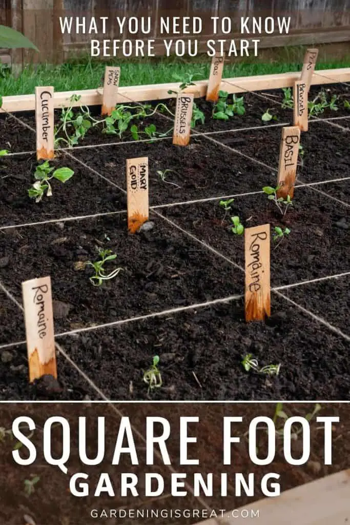 square foot gardening need to know pin