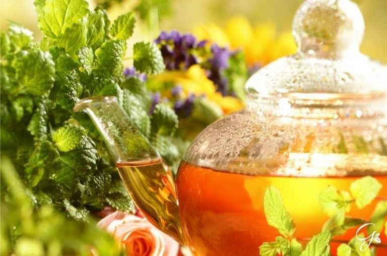Top Tips For Growing Your Own Tea Garden