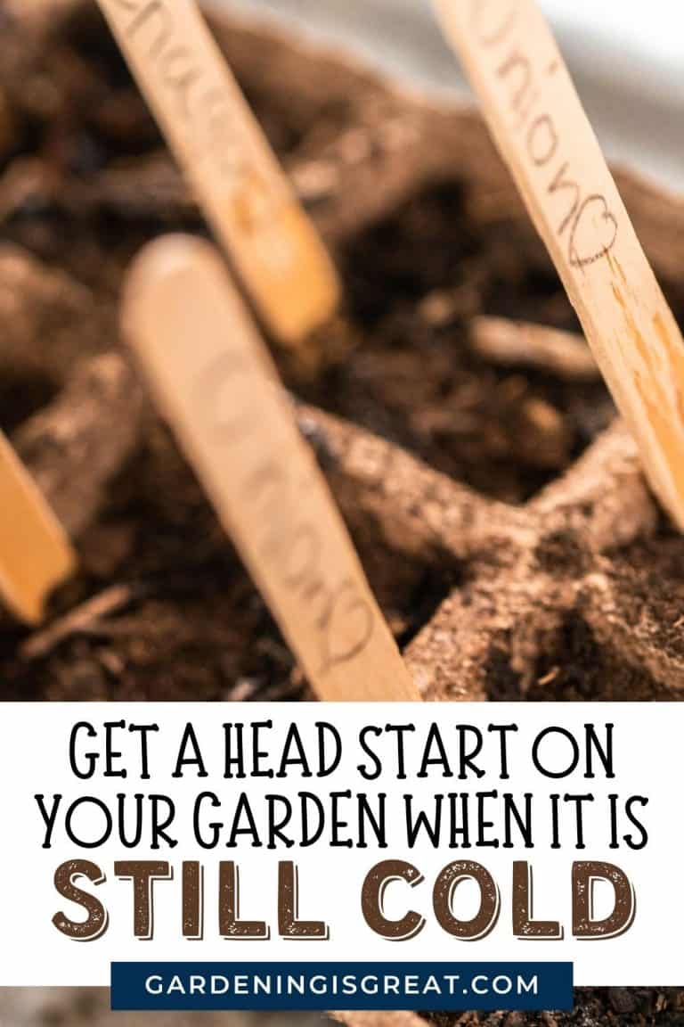 How To Get A Head Start On The Garden When It Is Still Cold – Gardening ...