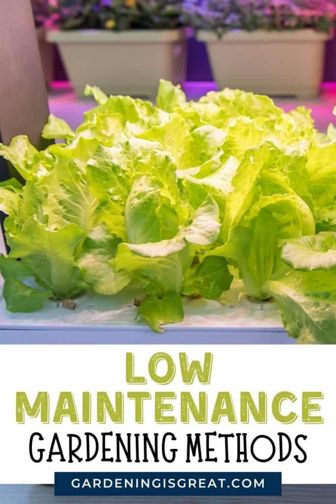 low maintenance gardening methods pin 1
