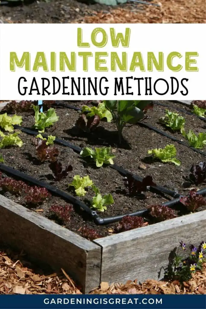 low maintenance gardening methods pin