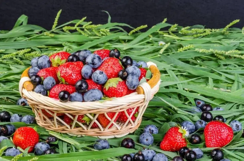 summer fruits in a basket