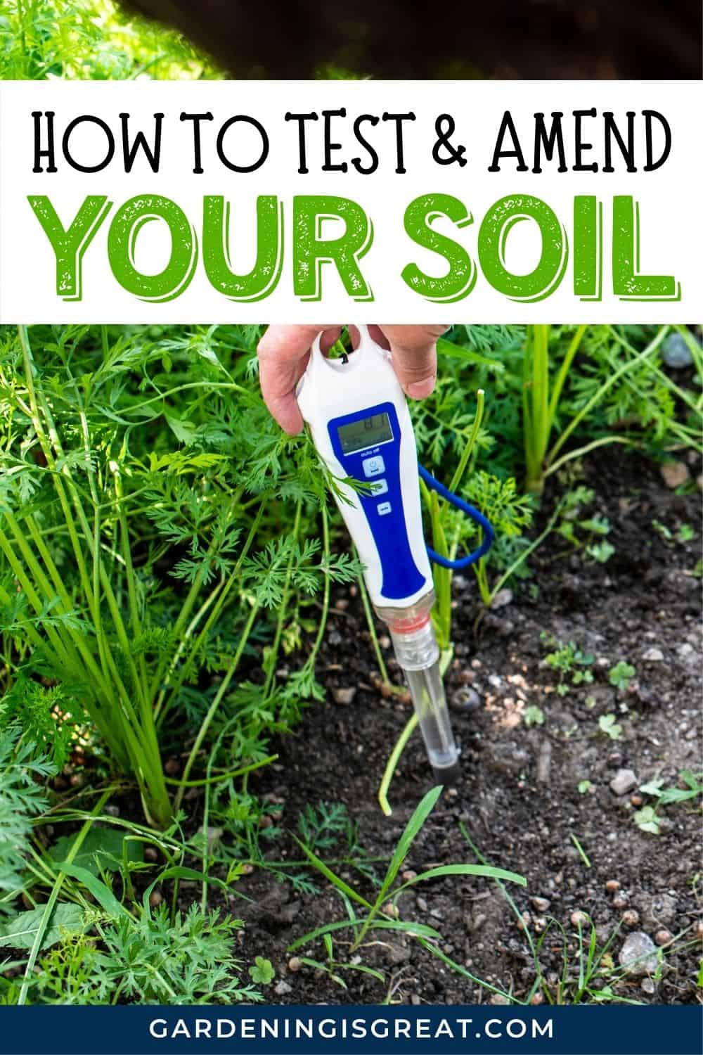 test and amend your soil