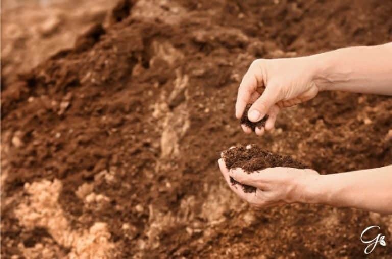 How To Test And Amend Your Soil