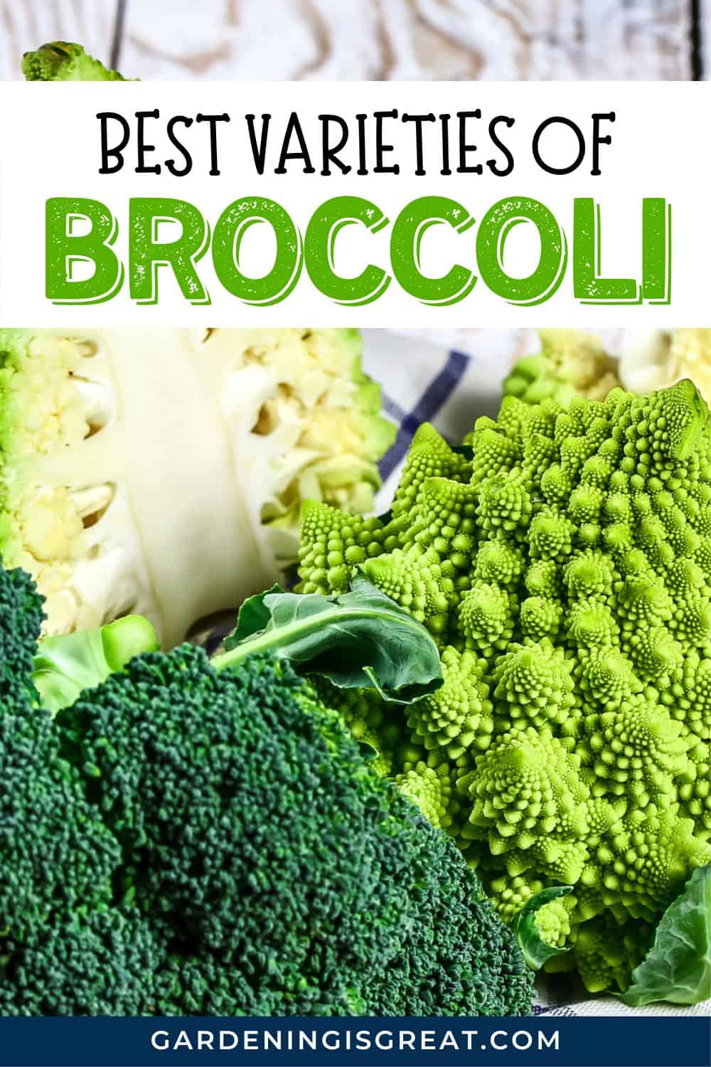 best broccoli varieties pin