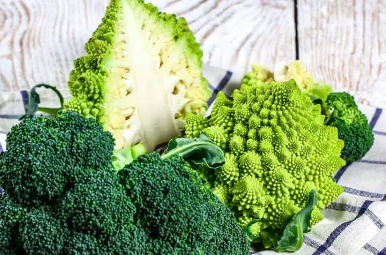 5 Best Broccoli Varieties For Your Garden