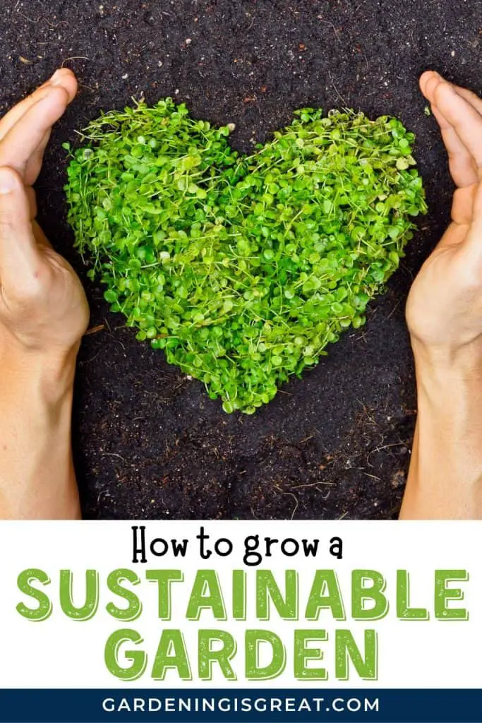 How To Grow A Sustainable Garden | Gardening Is Great