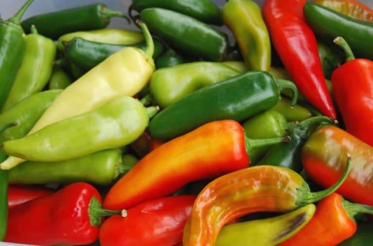 8 Types Of Jalapeno Peppers To Grow In Your Garden