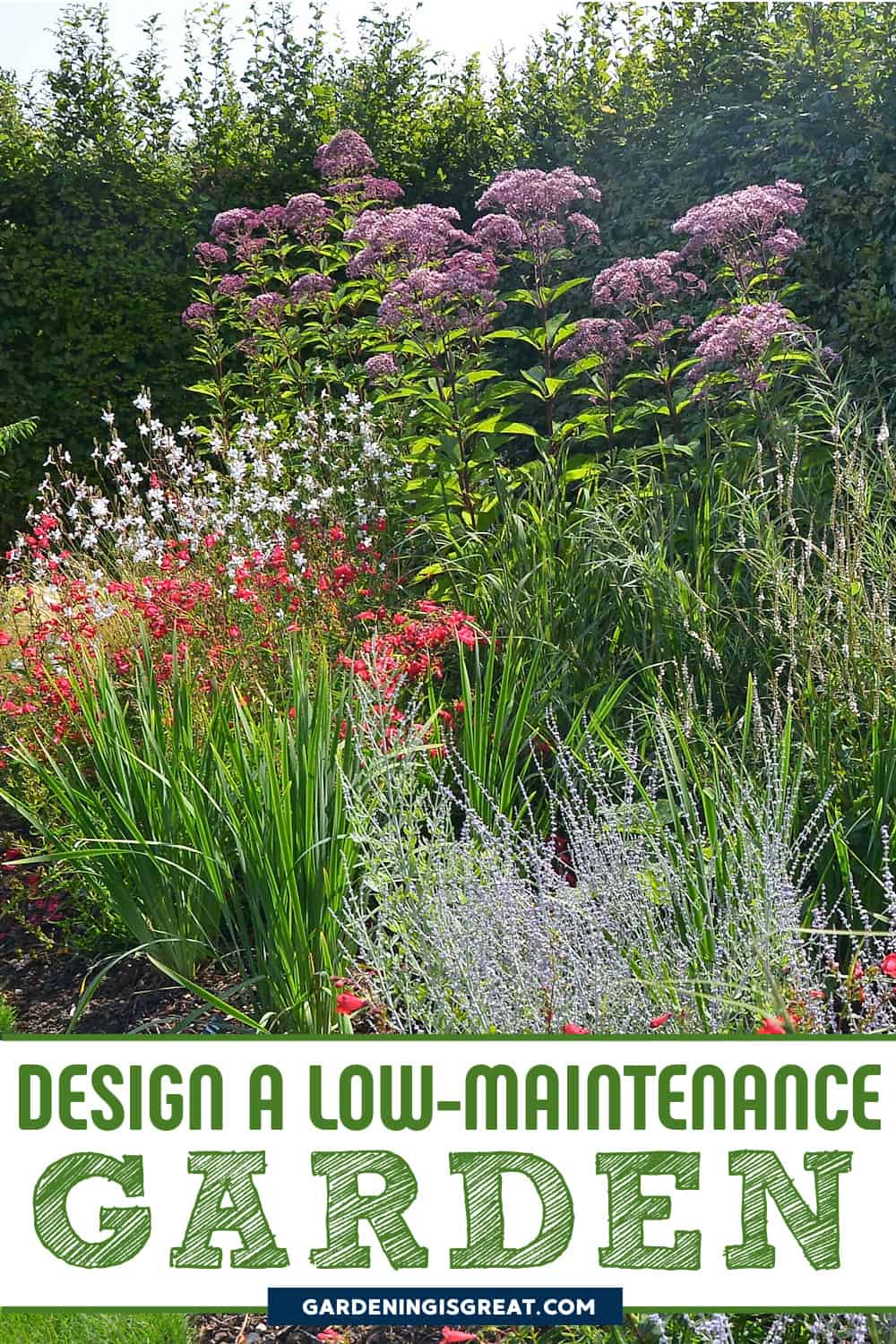 low maintenance garden design