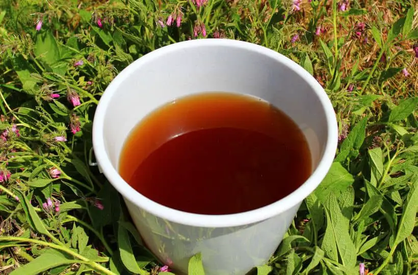 comfrey tea fertilizer