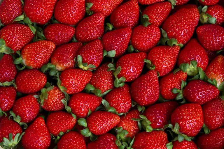 Strawberry ‘Albion’